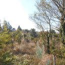 상창보건진료소 이미지