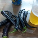 초곡민박 이미지