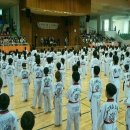 송암태권도장 이미지