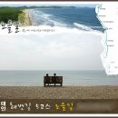 정다운 75회차 안면도 트레킹&야유회(7/21) 이미지