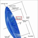 다비치안경콘택트 이미지