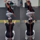 팀온짐(TEAM ON GYM) | 운동포기자에서 다시 시작 부천리온짐 PT로 묵힌 살 정리하고 있어요.