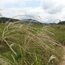 하늘뜰 농장 이미지