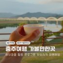 건강도시&문화마을 | 충주여행 가볼만한곳 하담마을 하강서원 유유자적 여행하담