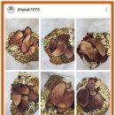 경희예가한의원 이미지