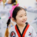 국가대표 S 태권도 이미지