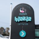 낚고락고 이미지