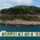 편백나무민박