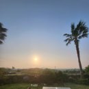 언니네펜션 | 협재해수욕장 근처 독채펜션 추천 언니네밥상 후기