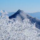 천안복지산악회 524회 민주지산 정기산행공지(2/2) 이미지