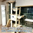 스마트캣 | RGU 원목 캣타워 고양이 용품 캣가구 추천 내돈내산 리얼 후기