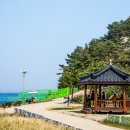 화진포역사안보전시관 이미지