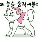 썬캔들