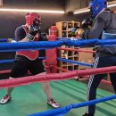 강성복싱체육관 이미지