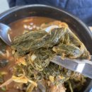 신두리뼈해장국 이미지