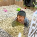 [제주/한달살기]ep.29 삼성드림소아청소년과제주 비자숲힐링센터 제주구좌카페 아베베베이커리 카멜커피...