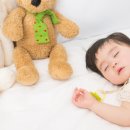 한울태권도 이미지