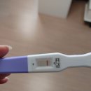 스마일결혼상담소 | “40대 자연임신 한번에 성공! 40세 임신 → 41세 출산까지, 기적 같은 후기”