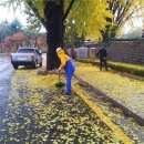 김영종 농장 이미지