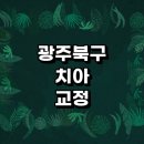 광주 북구 치아교정 잘하는 전문치과 병원 추천 | 비용 후기 설측교정 돌출입 앞니 투명 무턱 부분...