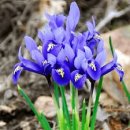 캔들웨이 이미지