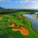 블루베이 이미지