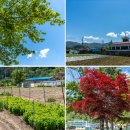 정선공영버스터미널 내 이미지