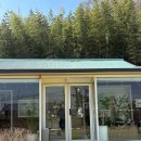 군산의자 | [군산 카페] 푸르던 / 내돈내산 솔직후기