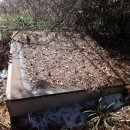 홍성주유소 이미지