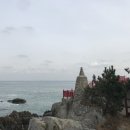 해동 산 곰장어 이미지