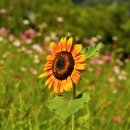 단원구청 이미지