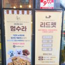 리드펫 이미지