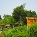 모니카의정원 네이버블로그
