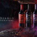 지에스(GS)25 진접퍼플점 | 데일리 칠레 와인 추천 디아블로 시그니처 퍼플 말벡