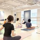 테라피 요가 | 강남 테라피(Therapy)요가 원데이클래스 후기
