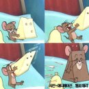 치즈선생님