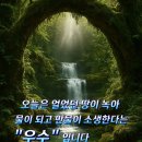 당신의봄날 - 포항시 북구 장량로174번길 6-9 | 당신의봄날