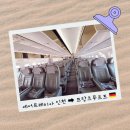 프레미아타 | 에어프레미아 YP231 독일 프랑크푸르트 동유럽 여행