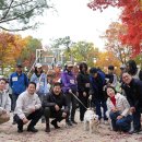 종로동물병원 이미지