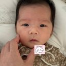 (주)엘케이디자인웍스 | [육아일기] 원더웍스 가보자고
