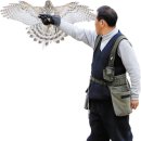 보라매