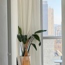 수원-0805 이미지