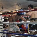 내포복싱격투기 D파이널짐 이미지