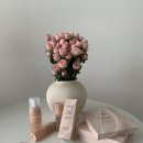 주식회사 알딩 | 코씨 콜라겐 기초라인 공구 오픈 🩵