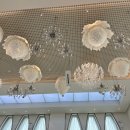 레브플레이트 | 대전웨딩홀 씨엘드레브 홀투어 후기(대표님TMI 및 사진대방출)