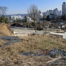 【함평읍내토지매매】함평군 함평읍 토지 매매합니다. 이미지