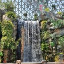 거제식물원 이미지