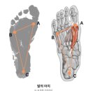 튠업 코리아 | 맞춤인솔 제작 시다스코리아 피제이튠 본사 방문 후기