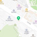 로얄펫 강아지분양 고양이분양 전주본점 이미지