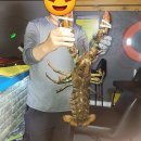 부산실내바다낚시터 이미지